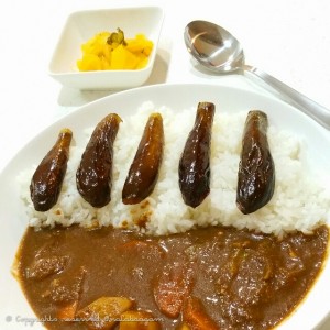 Japanese Curry Rice