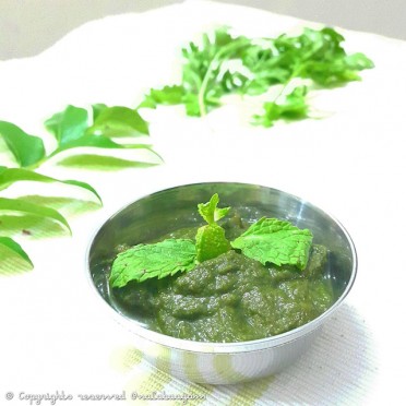 Mint Chutney