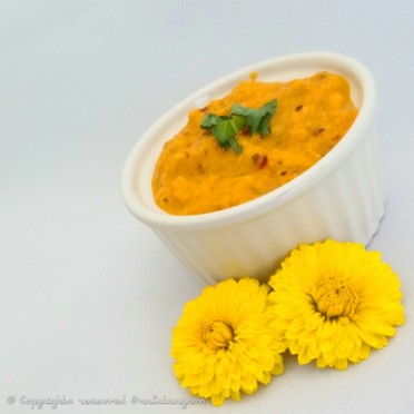 Butternut Squash Thuvaiyal