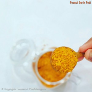 Peanut Garlic Podi