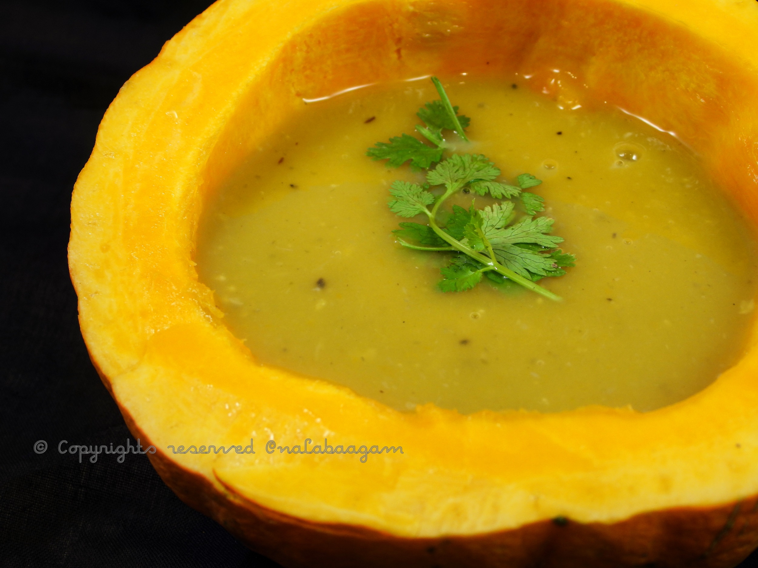 Pumpkin Soup